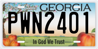 GA license plate PWN2401
