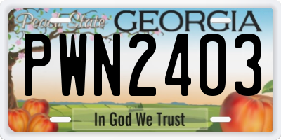 GA license plate PWN2403