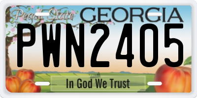 GA license plate PWN2405