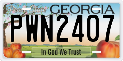 GA license plate PWN2407