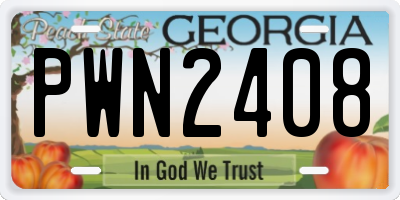 GA license plate PWN2408