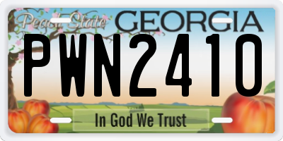GA license plate PWN2410