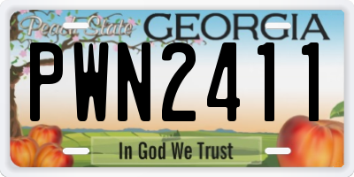GA license plate PWN2411