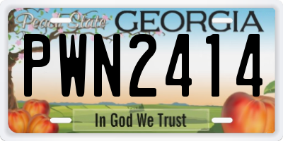 GA license plate PWN2414