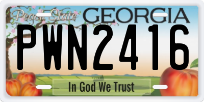GA license plate PWN2416