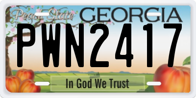 GA license plate PWN2417