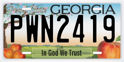 GA license plate PWN2419