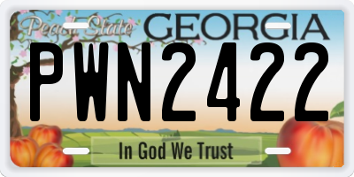 GA license plate PWN2422