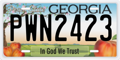 GA license plate PWN2423