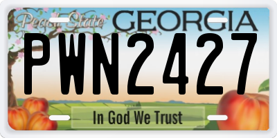 GA license plate PWN2427