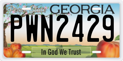 GA license plate PWN2429