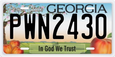 GA license plate PWN2430