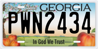 GA license plate PWN2434
