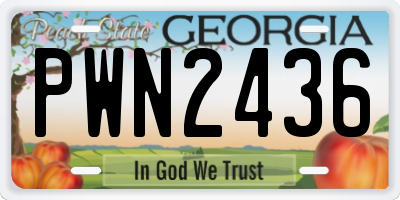 GA license plate PWN2436