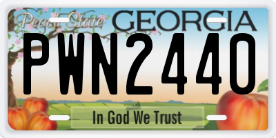 GA license plate PWN2440