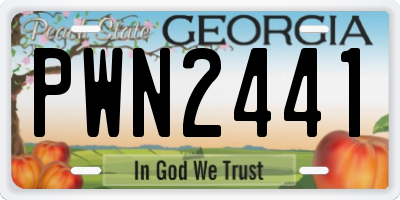 GA license plate PWN2441