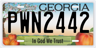 GA license plate PWN2442