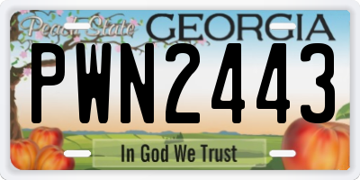 GA license plate PWN2443