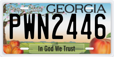 GA license plate PWN2446