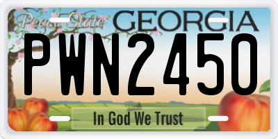 GA license plate PWN2450