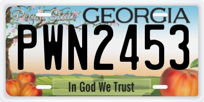 GA license plate PWN2453