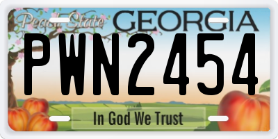 GA license plate PWN2454
