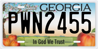 GA license plate PWN2455
