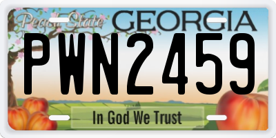 GA license plate PWN2459