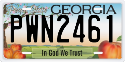 GA license plate PWN2461