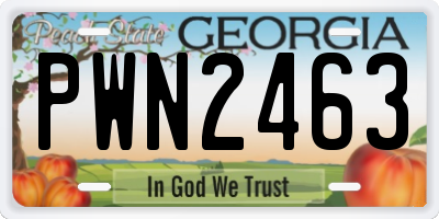 GA license plate PWN2463