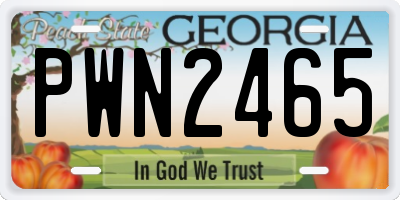 GA license plate PWN2465