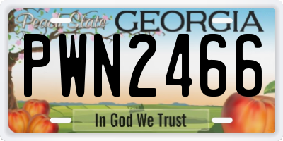 GA license plate PWN2466