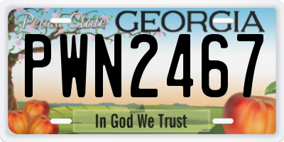 GA license plate PWN2467
