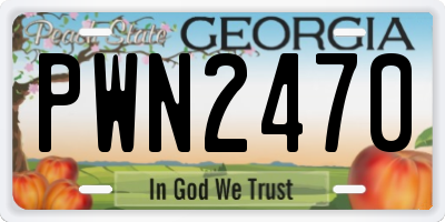 GA license plate PWN2470