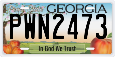 GA license plate PWN2473
