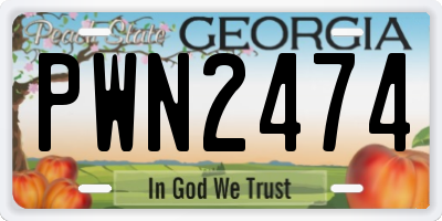 GA license plate PWN2474