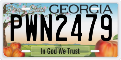 GA license plate PWN2479