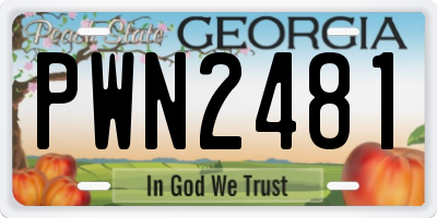 GA license plate PWN2481