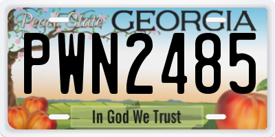 GA license plate PWN2485