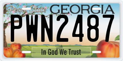 GA license plate PWN2487