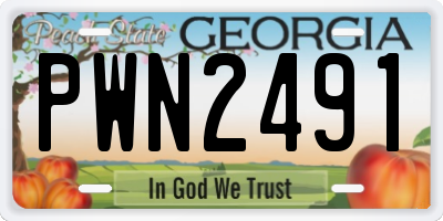 GA license plate PWN2491