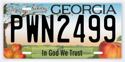 GA license plate PWN2499