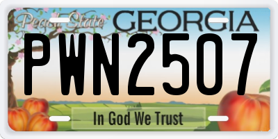 GA license plate PWN2507