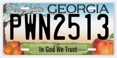 GA license plate PWN2513