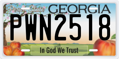 GA license plate PWN2518