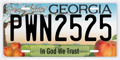 GA license plate PWN2525