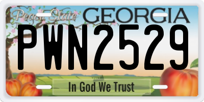 GA license plate PWN2529