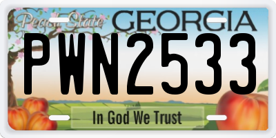 GA license plate PWN2533