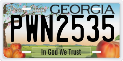 GA license plate PWN2535