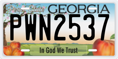 GA license plate PWN2537
